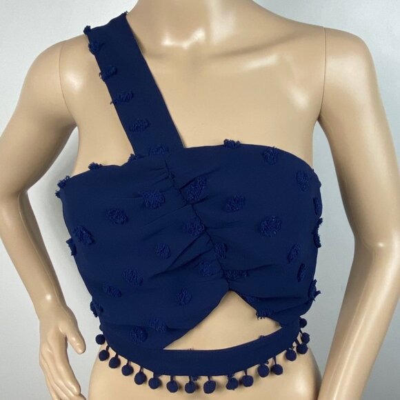 Tularosa Revolve Allie Crop Top Blue One Shoulder Size Small Swiss Dot Tassel S - Picture 2 of 9